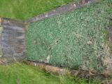 image of grave number 572571
